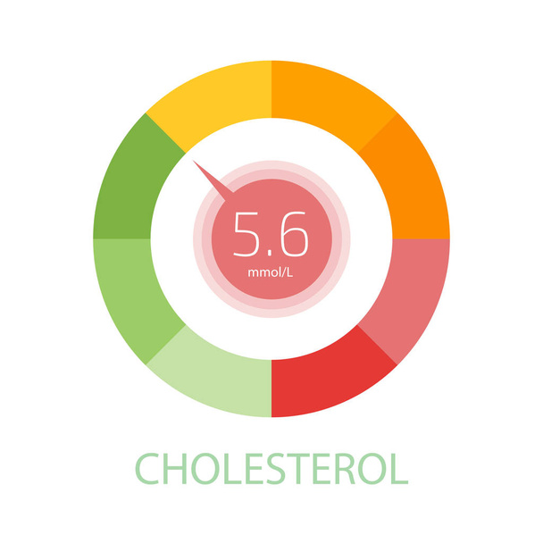 Cholesterol Meter app user interface. Vector illustration. - Vecteur, image
