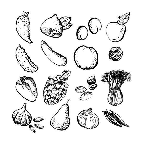 Graphic illustration of vegetables and fruits - Вектор, зображення