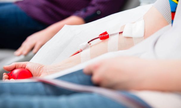 Vein catheter at blood donation - Photo, Image
