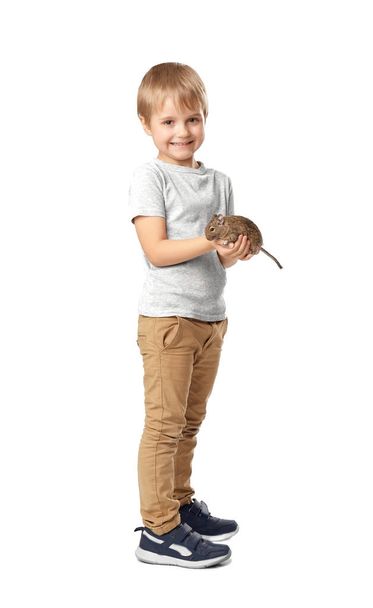 Little boy with cute pet degu on white background - Photo, image