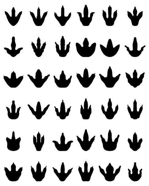 Чёрные следы динозавров на белом фоне - Вектор,изображение