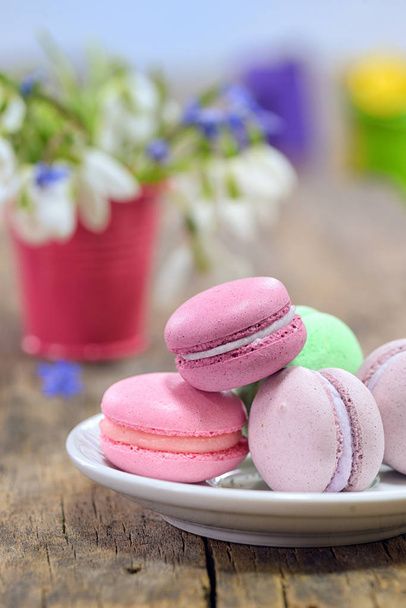 variegated sweet macaroons and spring flowers - Photo, Image