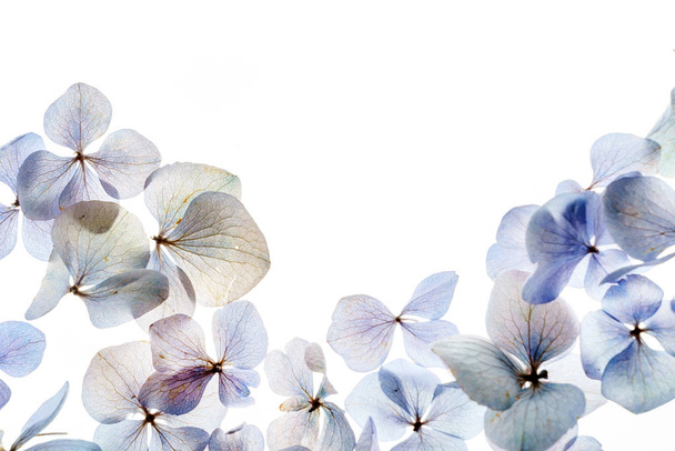 bright  floral composition on white background - Fotó, kép