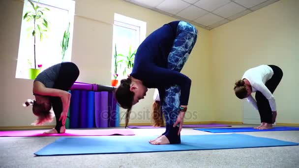 Meninas bonitas se estende para trás músculos em posições de ioga
 - Filmagem, Vídeo