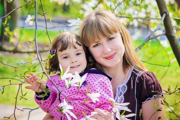 Een kind en moeder in de bloeiende magnolia-tuin. Selectieve aandacht.  - Foto, afbeelding