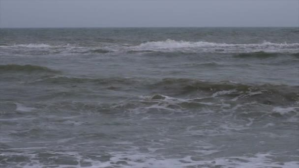 風と海の大きな波 - 映像、動画
