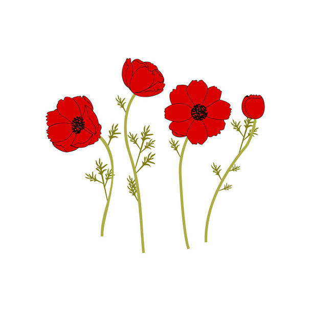 Gentle floral background with red poppies. Patterns for textiles. - Vector, afbeelding