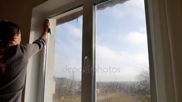 Lavage des fenêtres à la maison
. - Séquence, vidéo