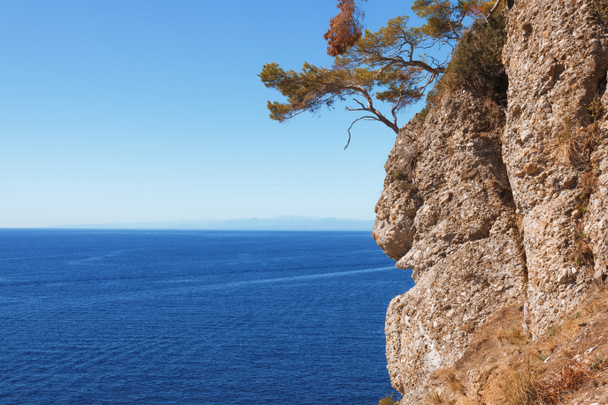 πανέμορφο φυσικό τοπίο με τα δέντρα σε βράχο και γραφικό θαλάσσιο Πόρτο Βένερε, Ιταλία  - Φωτογραφία, εικόνα