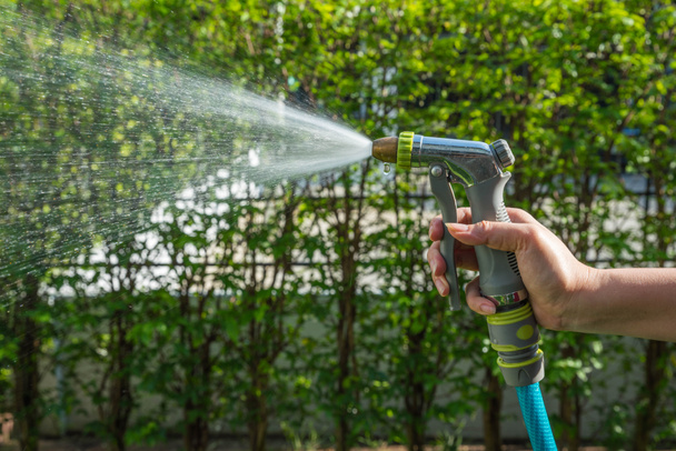 Working watering garden from hose - Photo, Image