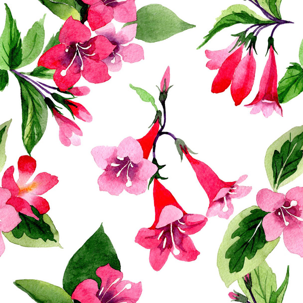 Wildflower weigela flower pattern in a watercolor style. - Photo, Image