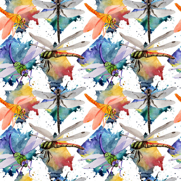 Exotic dragonfly wild insect pattern in a watercolor style. - 写真・画像
