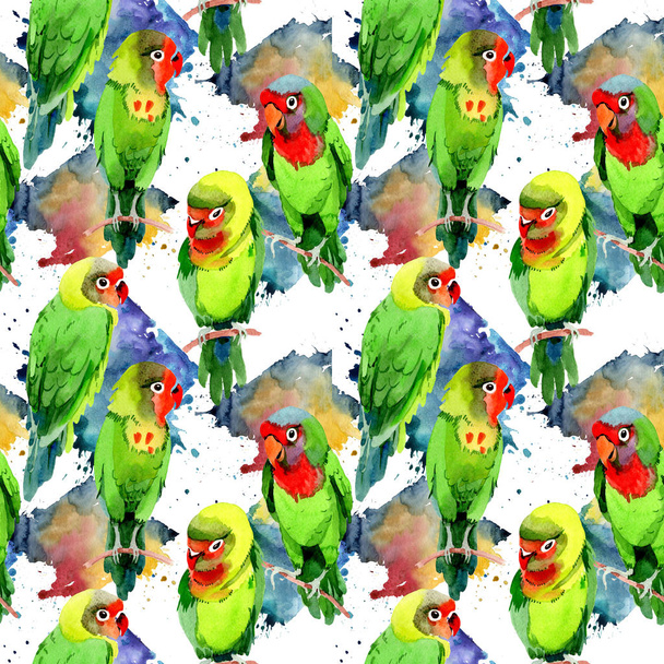 Pássaros do céu pequeno padrão de papagaios em uma vida selvagem pelo estilo aquarela
. - Foto, Imagem