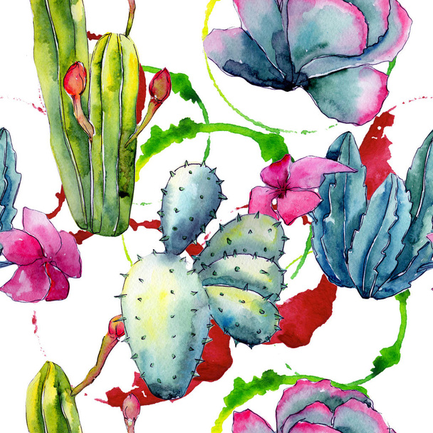 Exotic wildflower cactus pattern in a watercolor style. - Photo, Image