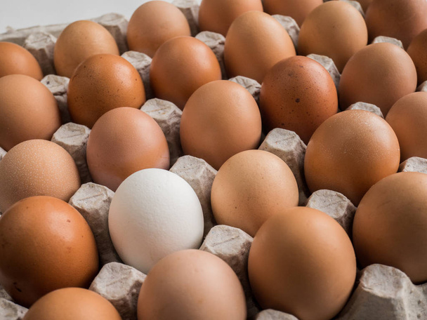 one white egg among brown in the tray. - Φωτογραφία, εικόνα