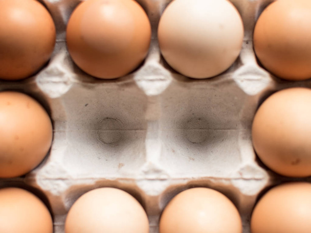eggs in cells, near empty places. - Фото, зображення
