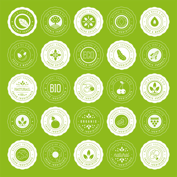 Verzameling van stickers en badges voor natuurlijke producten en eco-f - Vector, afbeelding