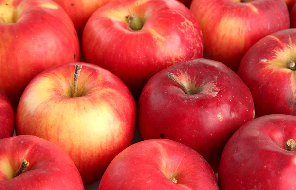 juicy red apples, close up - Photo, Image
