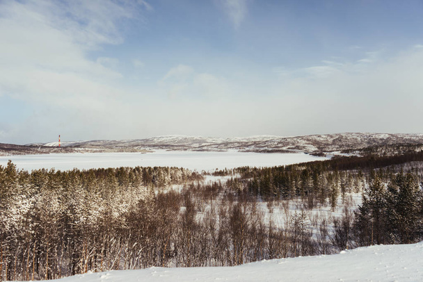 im weit kalten Norden sind Wald und Felder mit weißem Schnee bedeckt, winterliche Natur - Foto, Bild