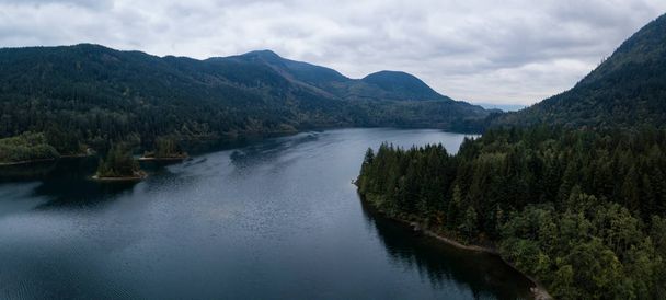 Hicks Lake Aerial Panorama - Zdjęcie, obraz