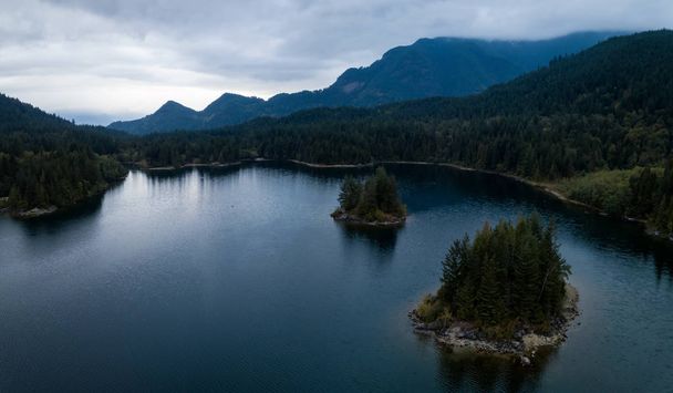 Hicks Lake Aerial Panorama - Zdjęcie, obraz