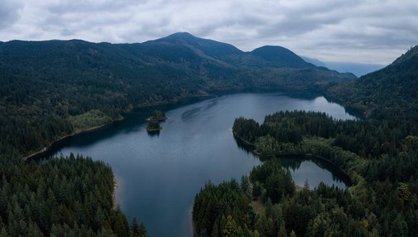 Hicks Lake Aerial Panorama - Фото, изображение