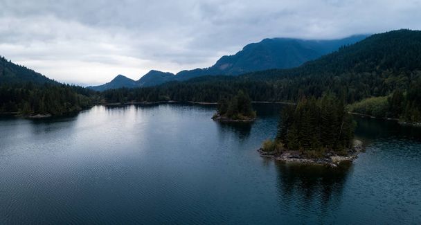 Hicks Lake Aerial Panorama - Fotó, kép