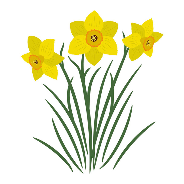 Μπουκέτο με κίτρινα daffodils σε λευκό φόντο. Μπορεί να χρησιμοποιηθεί ως ένα στοιχείο του σχεδιασμού σε έργα και συνθέσεις. Εικονογράφηση διάνυσμα - Διάνυσμα, εικόνα