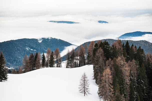 Winter mountains in a foggy day.  - 写真・画像