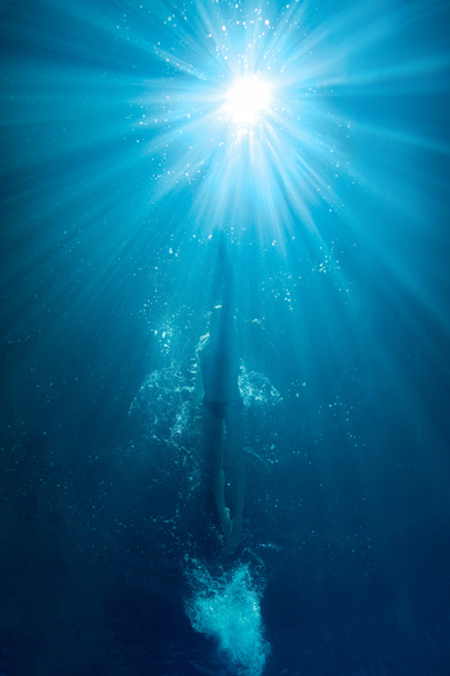 подводная фотография профессионального пловца, тренирующегося в бассейне
 - Фото, изображение