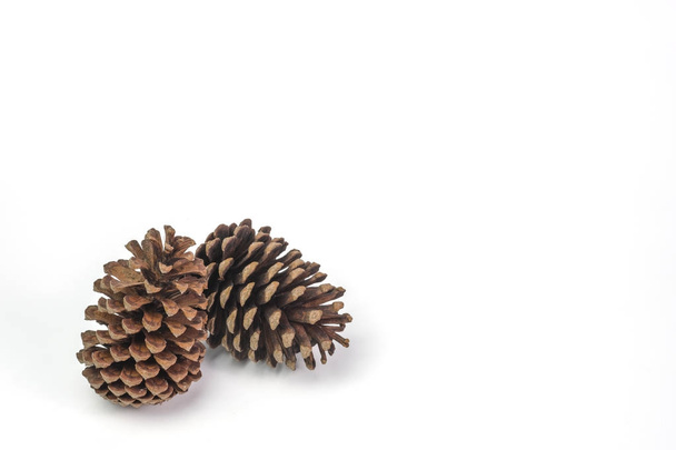 Conos de pino aislados sobre fondo blanco con ruta de recorte
 - Foto, Imagen