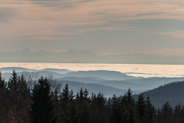 Pokryte śniegiem krajobraz bawarskiego lasu z widokiem na Alpy, Bavaria, Niemcy - Zdjęcie, obraz