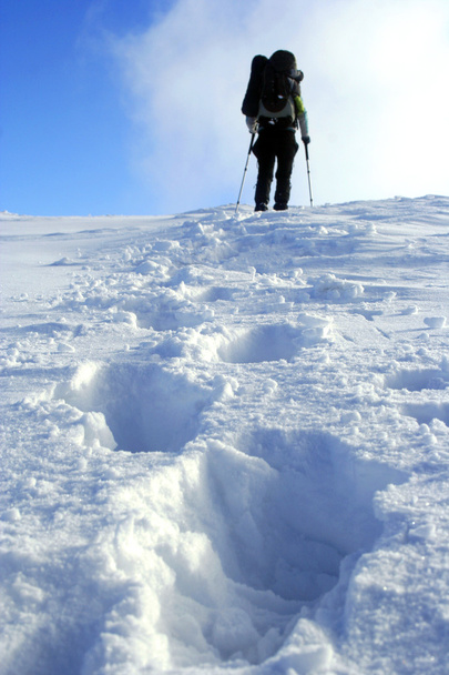 Winter hiking in snowshoes. - Fotó, kép