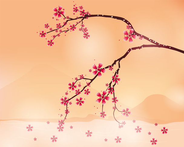 Fond avec fleur de cerisier
 - Vecteur, image