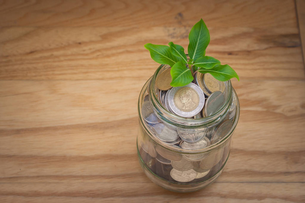Business and Financial Concept: Germoglio verde che cresce attraverso le monete in denaro in vaso di vetro a risparmio sul pavimento in legno. (Focus selettivo
) - Foto, immagini