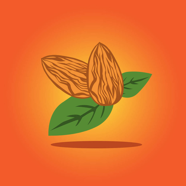 Piquant bitter almond with leafs on the orange background. Vector Illustration.  - Vektör, Görsel