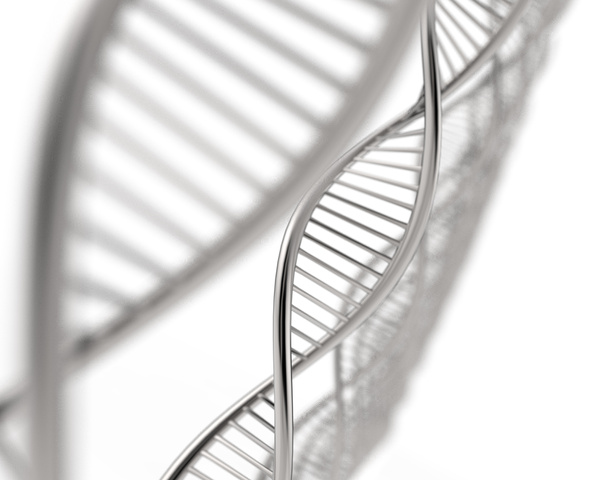 Image of DNA strand - Fotoğraf, Görsel