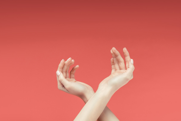 partial view of tender female hands, isolated on red - Foto, Imagem
