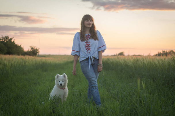 Female in green grass play with samoyed puppy during sunset - Photo, Image