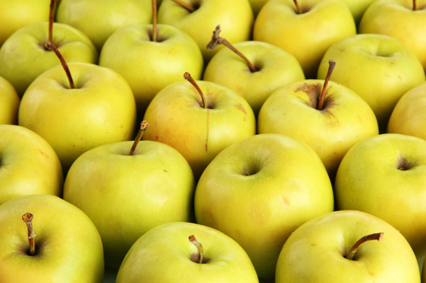 juicy apples, close up - Photo, image