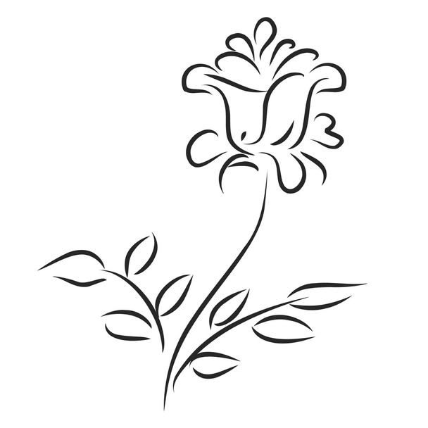 Background with foliage and flower - Vector, Image
