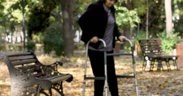 Senior vrouw met walker opstaan van de Bank en wandelen buiten in herfst park. De persoon komt in focus. - Video