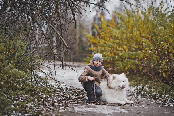 The boy walking his snow-white Samoyed in the autumn alleys 9829 - Foto, immagini