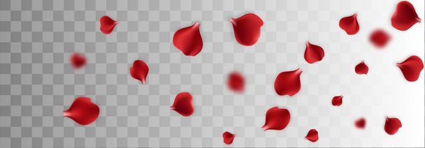 赤いバラの花びらの透明な背景 - ベクター画像