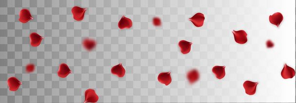 прозрачный фон из лепестков красной розы
 - Вектор,изображение
