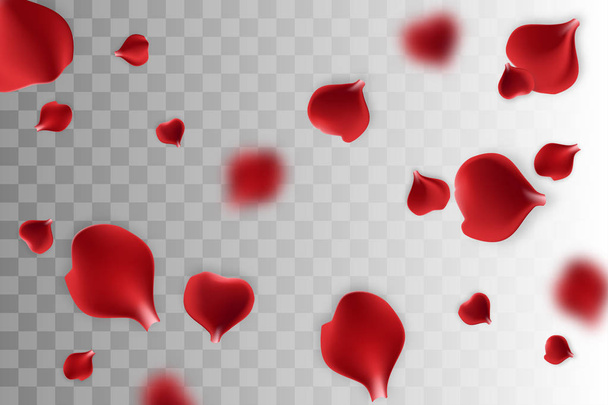 Piros rózsaszirom átlátszó háttér - Vektor, kép