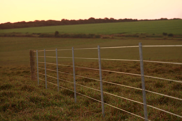 fence - Photo, Image