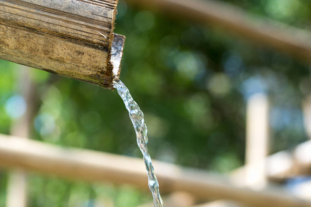 水と竹泉  - 写真・画像