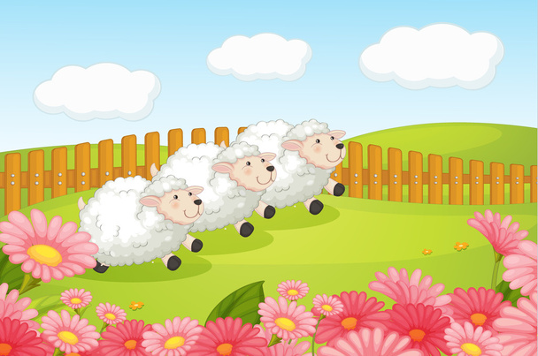 Sheeps - Vector, Image