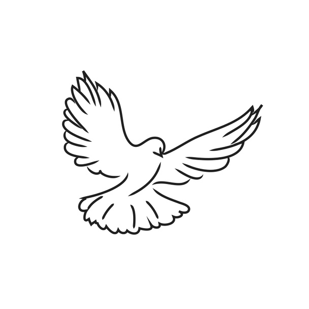 Pigeon colombe dessin d'art ligne noire sur fond blanc
 - Photo, image